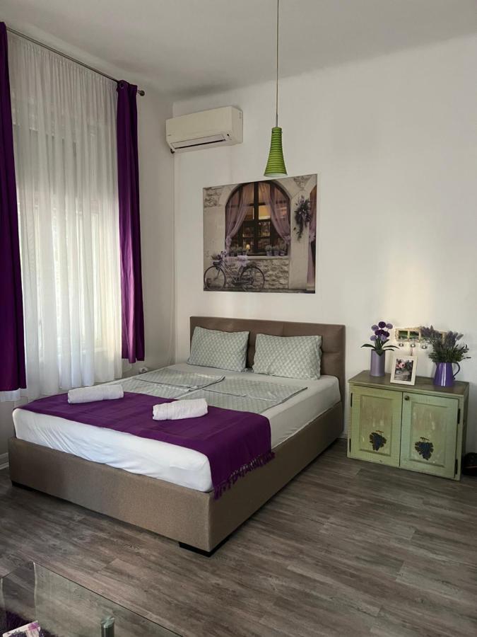Center Cosy Vintage Apartment Novi Sad Exterior foto