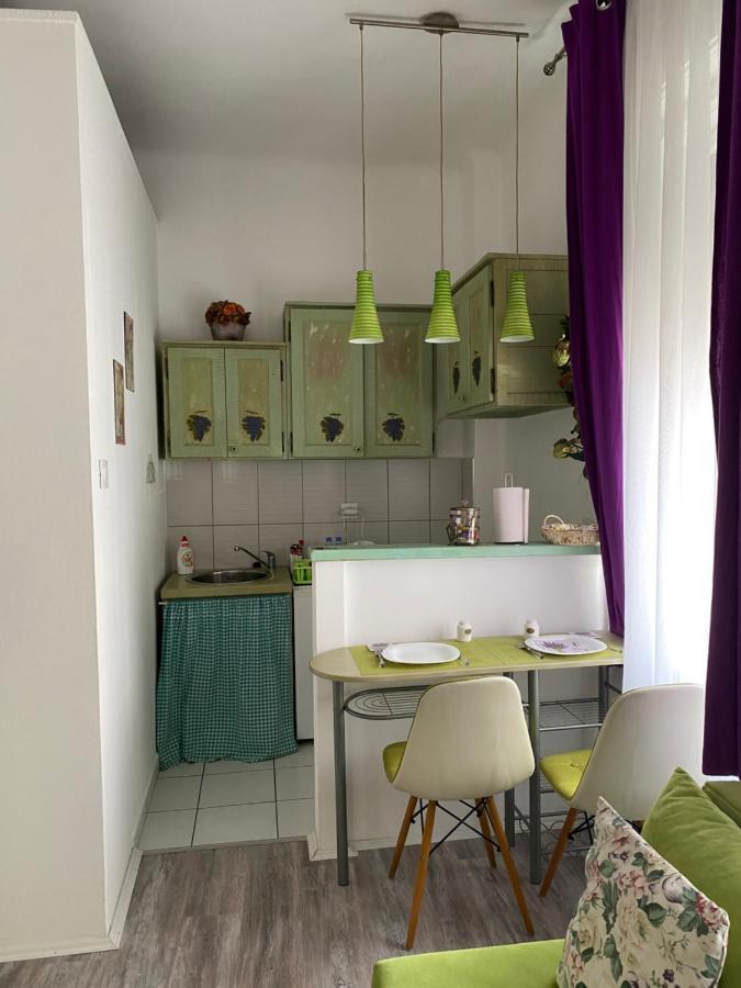 Center Cosy Vintage Apartment Novi Sad Exterior foto